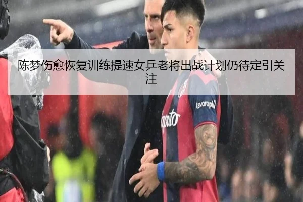 陈梦伤愈恢复训练提速女乒老将出战计划仍待定引关注